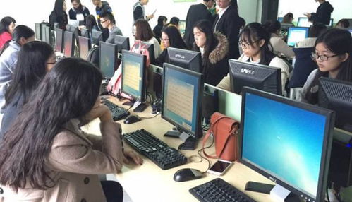 财艺精巧，会乐纵横——财会职业技能大赛精彩回顾